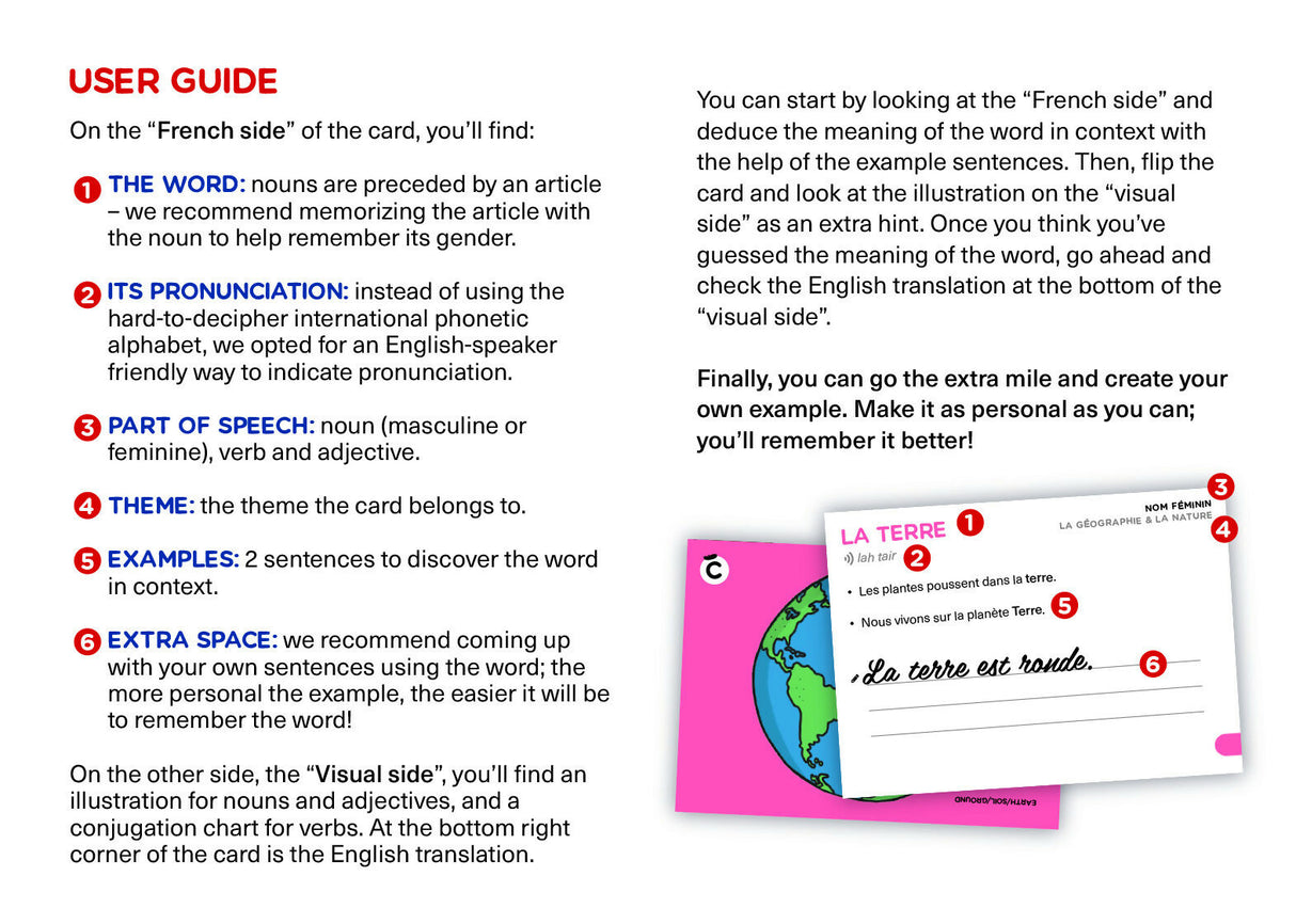 Flashcards User Guide