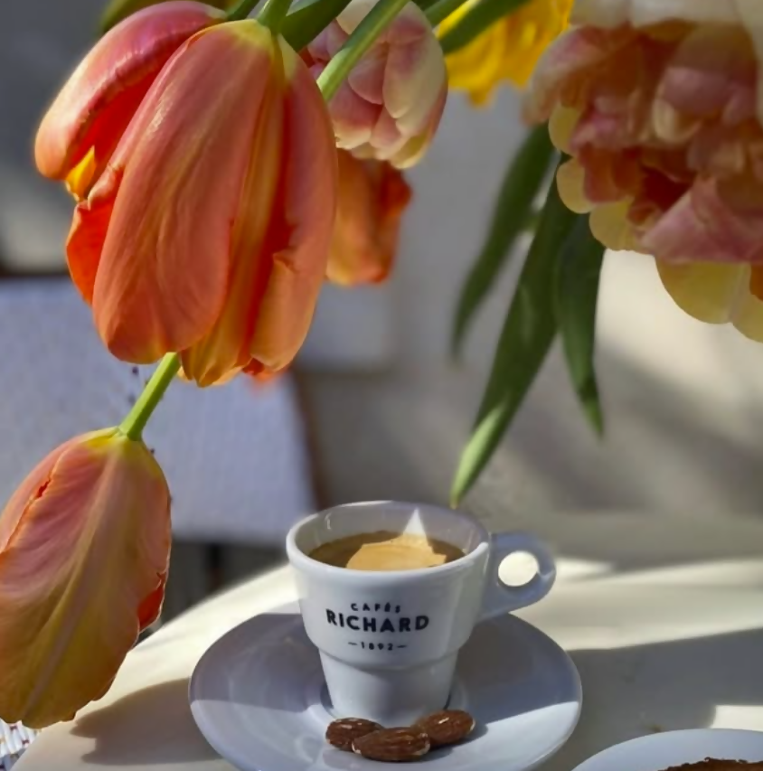 Cafés Richard Espresso Cup + Saucer (Set of 6)