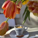 Cafés Richard Espresso Cup + Saucer (Set of 6)