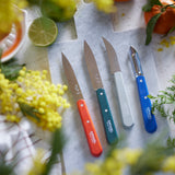 Essential Small Kitchen Knife Set