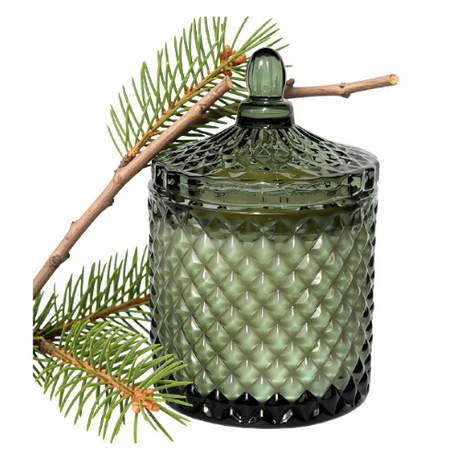 Noel en Provence   French Fir needle Candle  10.5oz