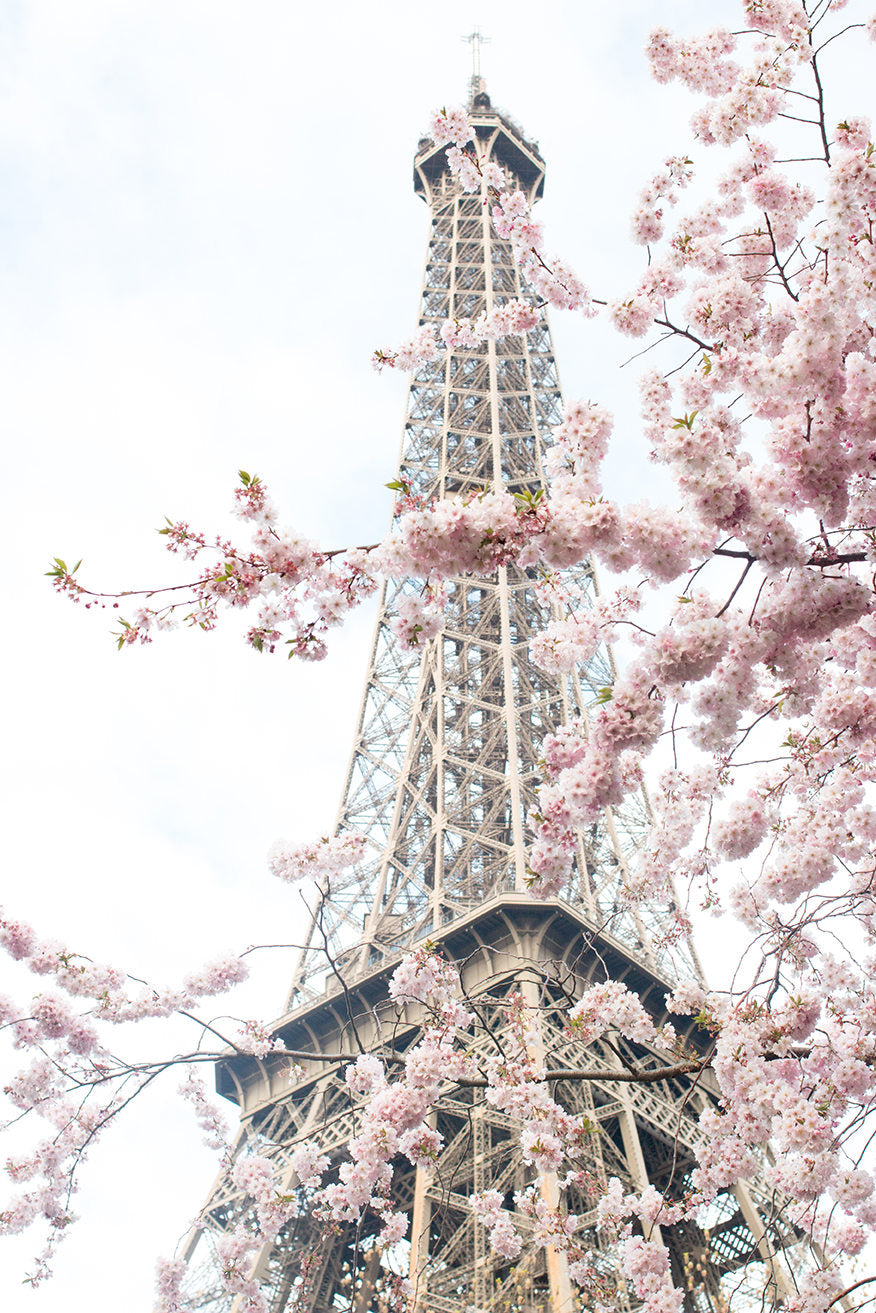 April in Paris photograph