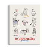 parisian dogs