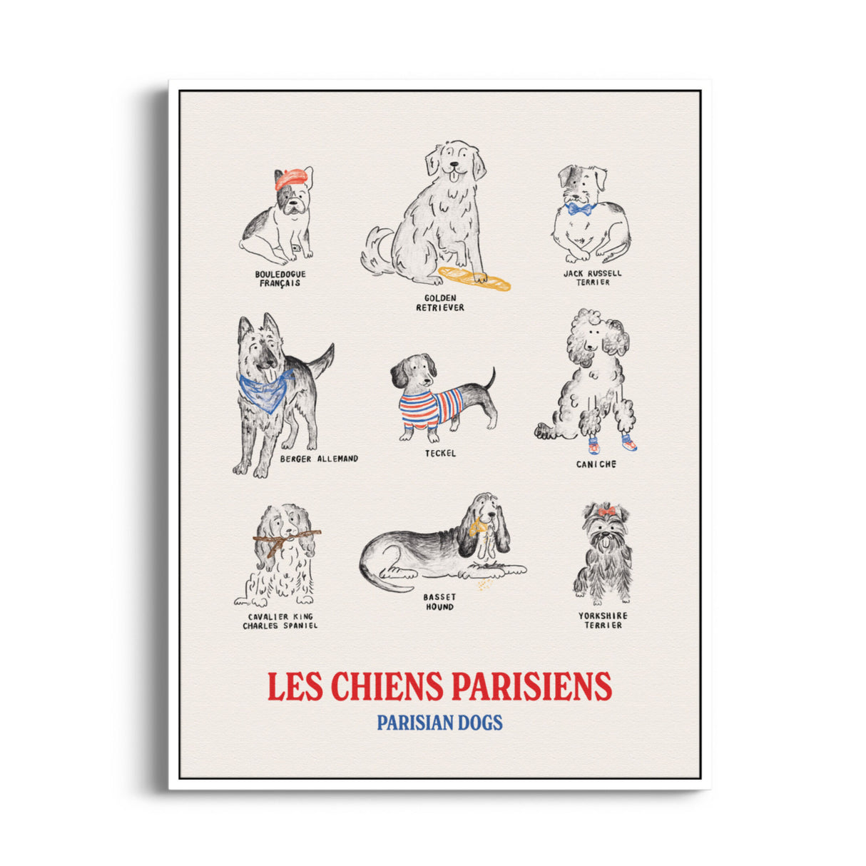 Hello-French-Poster-Dogs-Chiens-18x24-4