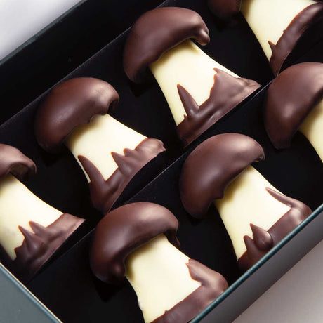 Chocolate Mushroom Gift Box