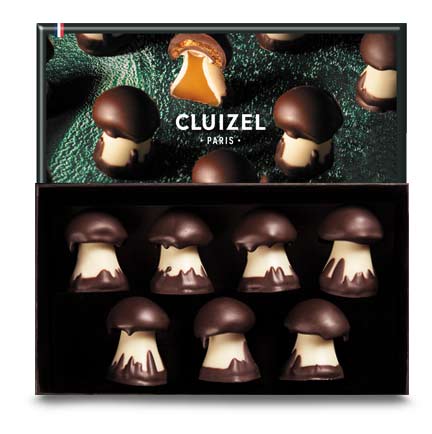 Chocolate Mushroom Gift Box