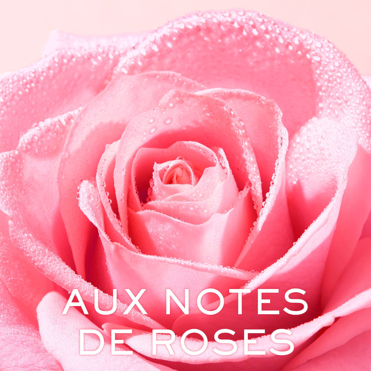 NUXE Very Rose Creamy Cleansing Milk