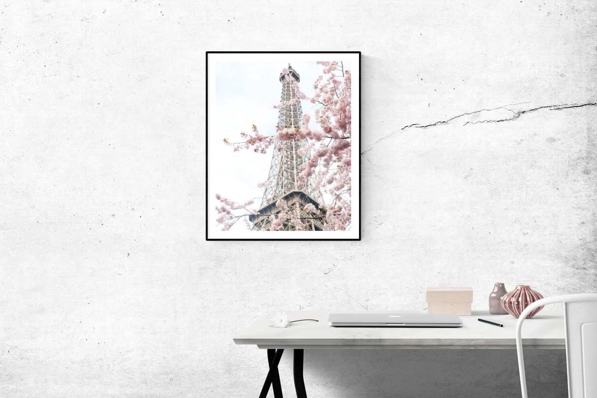 April in Paris photograph