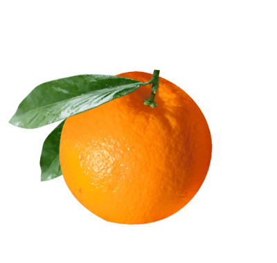 fruitDET_orange