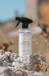 French Multi-Surface Spray Cleaner