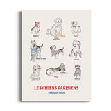 Hello-French-Poster-Dogs-Chiens-18x24-6