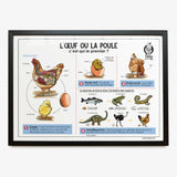 Poster - L'Oeuf ou la Poule (= egg or chicken)