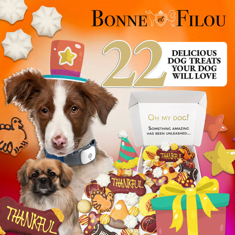 Thankful Themed Dog Treats Gift Box