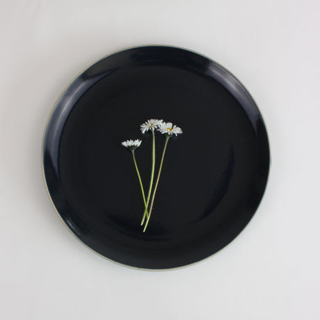 Stoneware Clay Dinner Plate - Set of 6