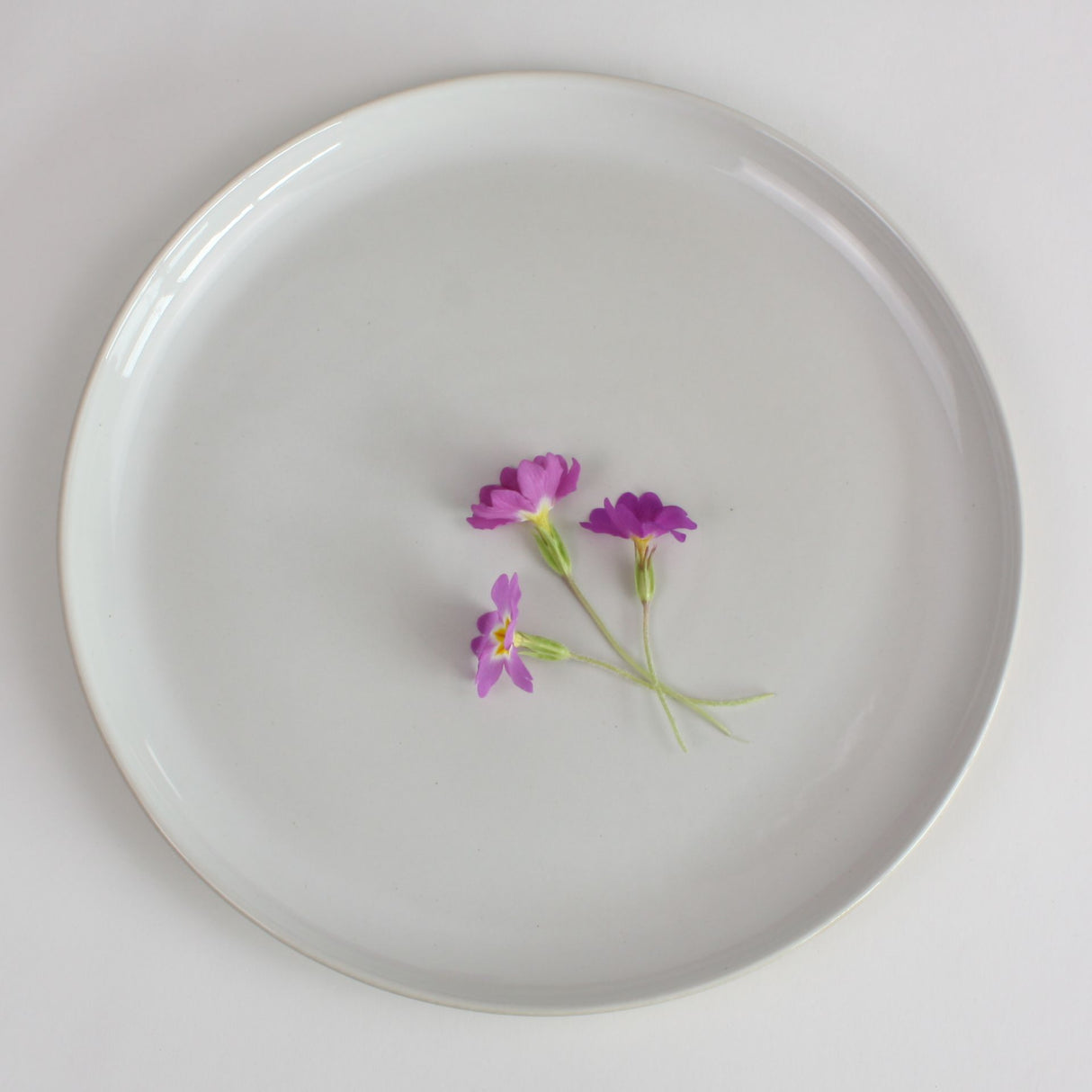 Stoneware Clay Dinner Plate - Set of 6