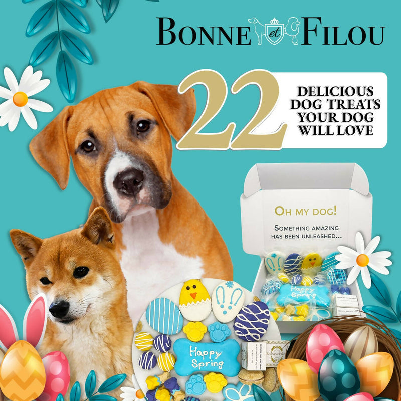 Spring Themed Dog Treats Gift Box