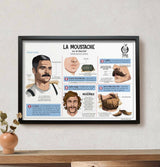 Poster - La Moustache