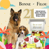 Summer Themed Dog Treats Gift Box