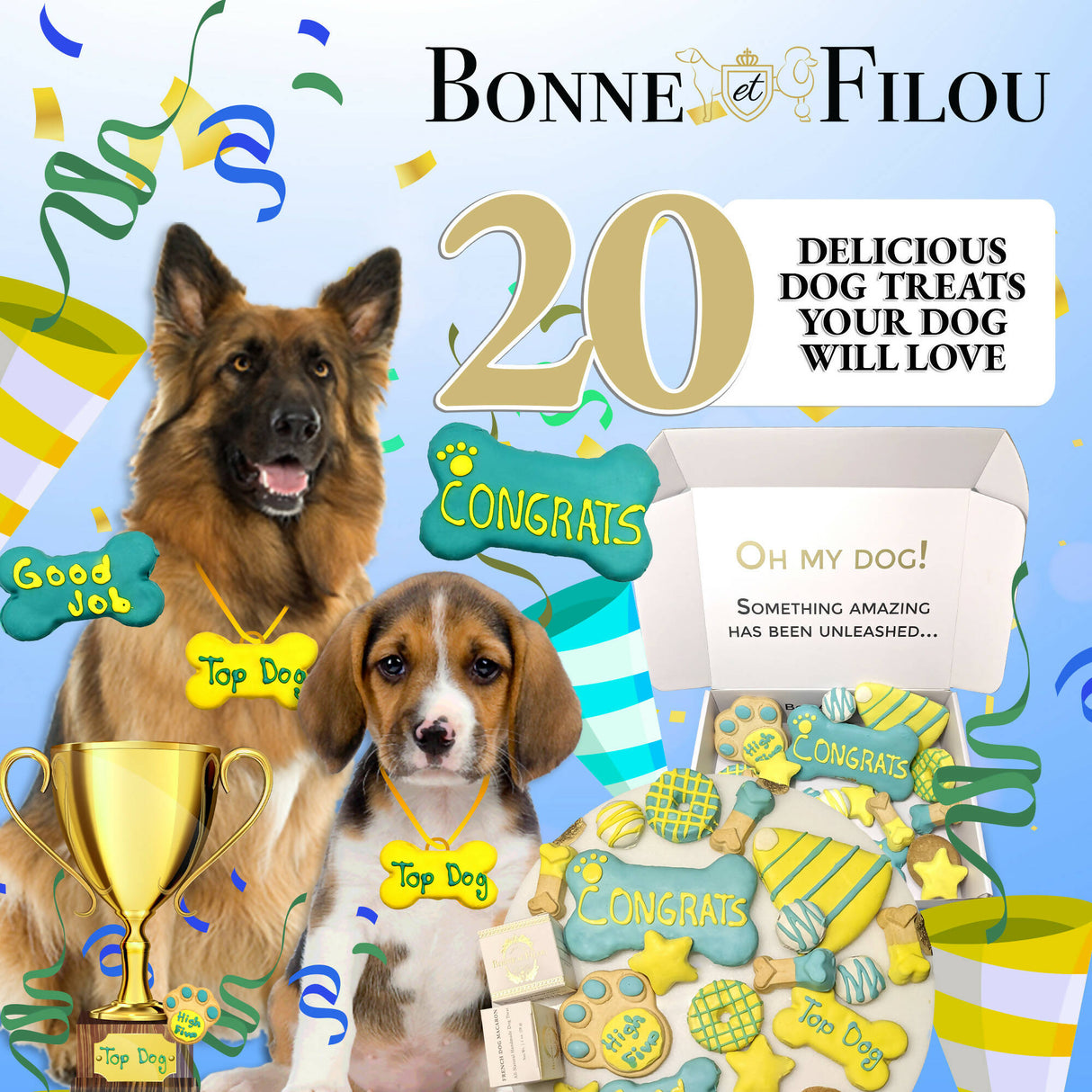 Congrats Themed Dog Treats Gift Box