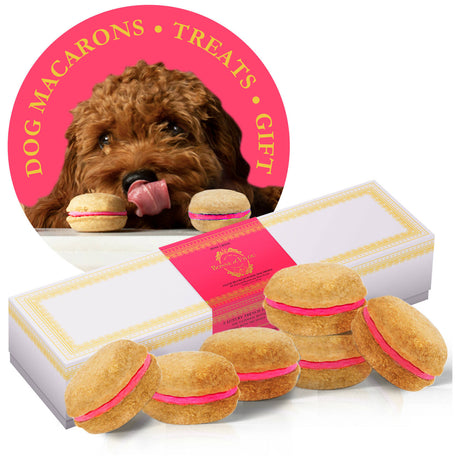 Dog Macarons - Box of 6 (Dog Treats | #1 Gift)