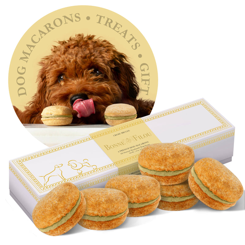Dog Macarons - Box of 6 (Dog Treats | 