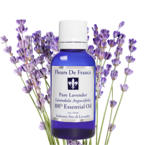 best lavender plant for oil Fleurs De France