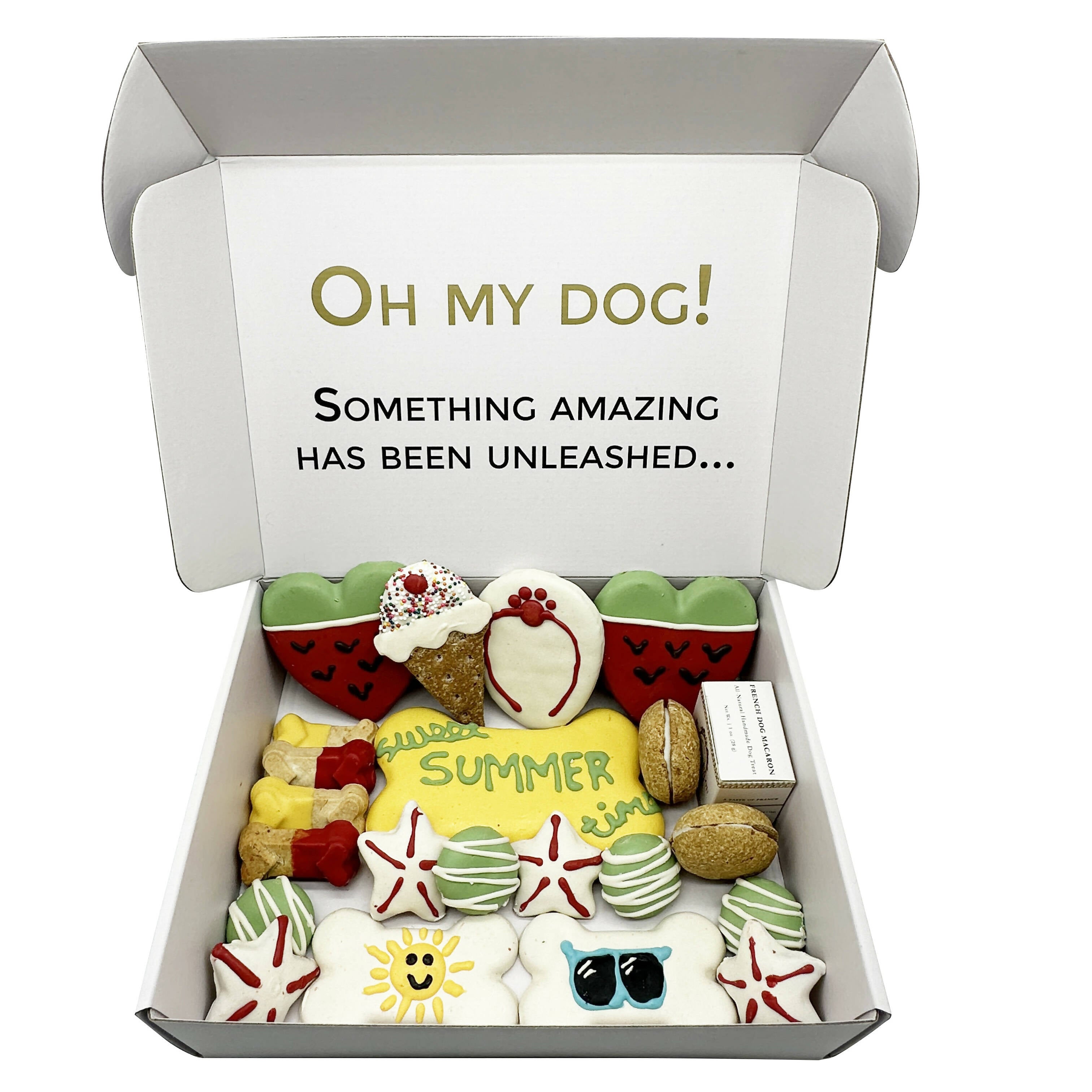 Dog treat gift box hotsell